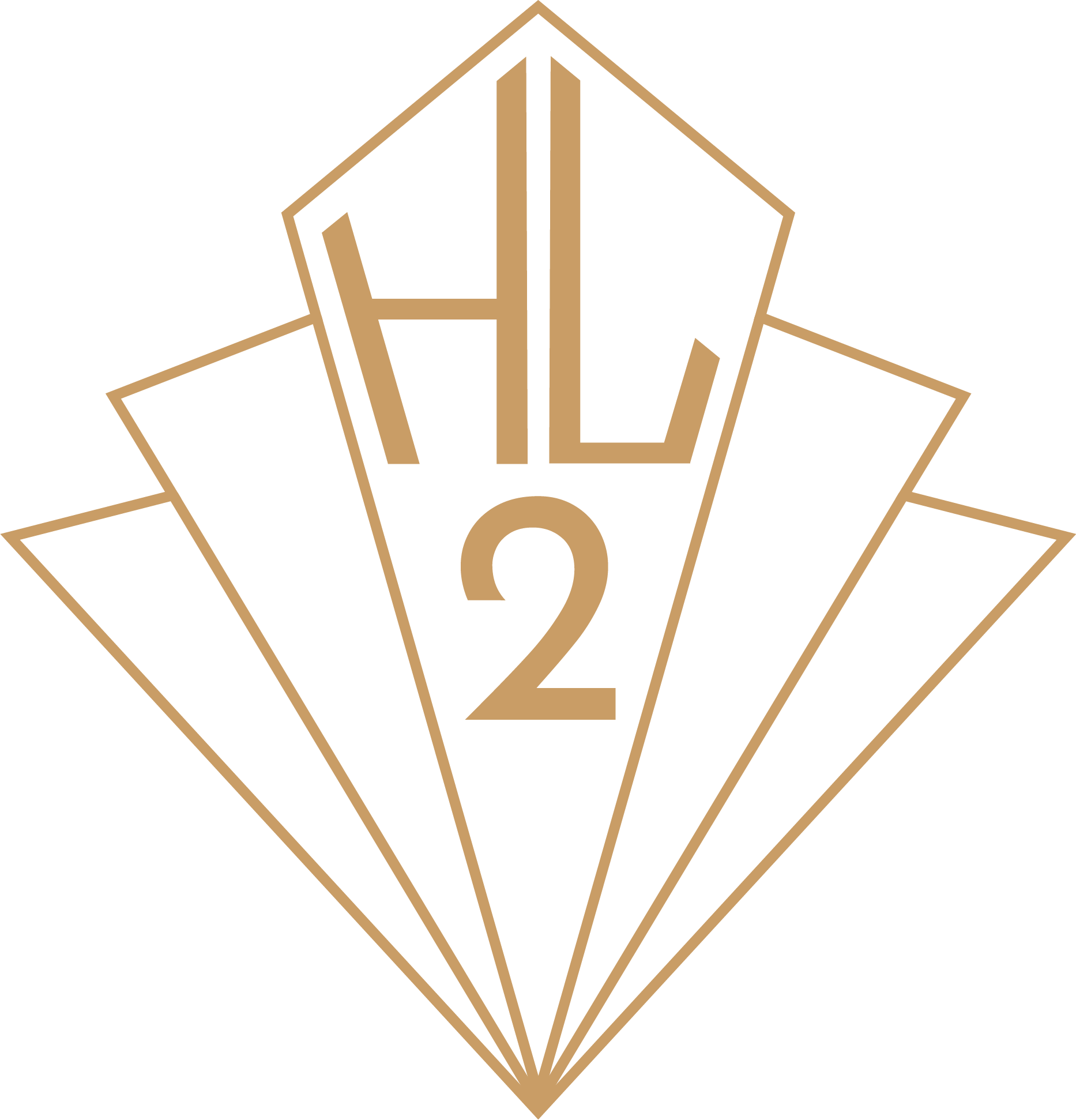 HL2 Hairdressing